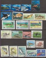 Poissons et animaux marins