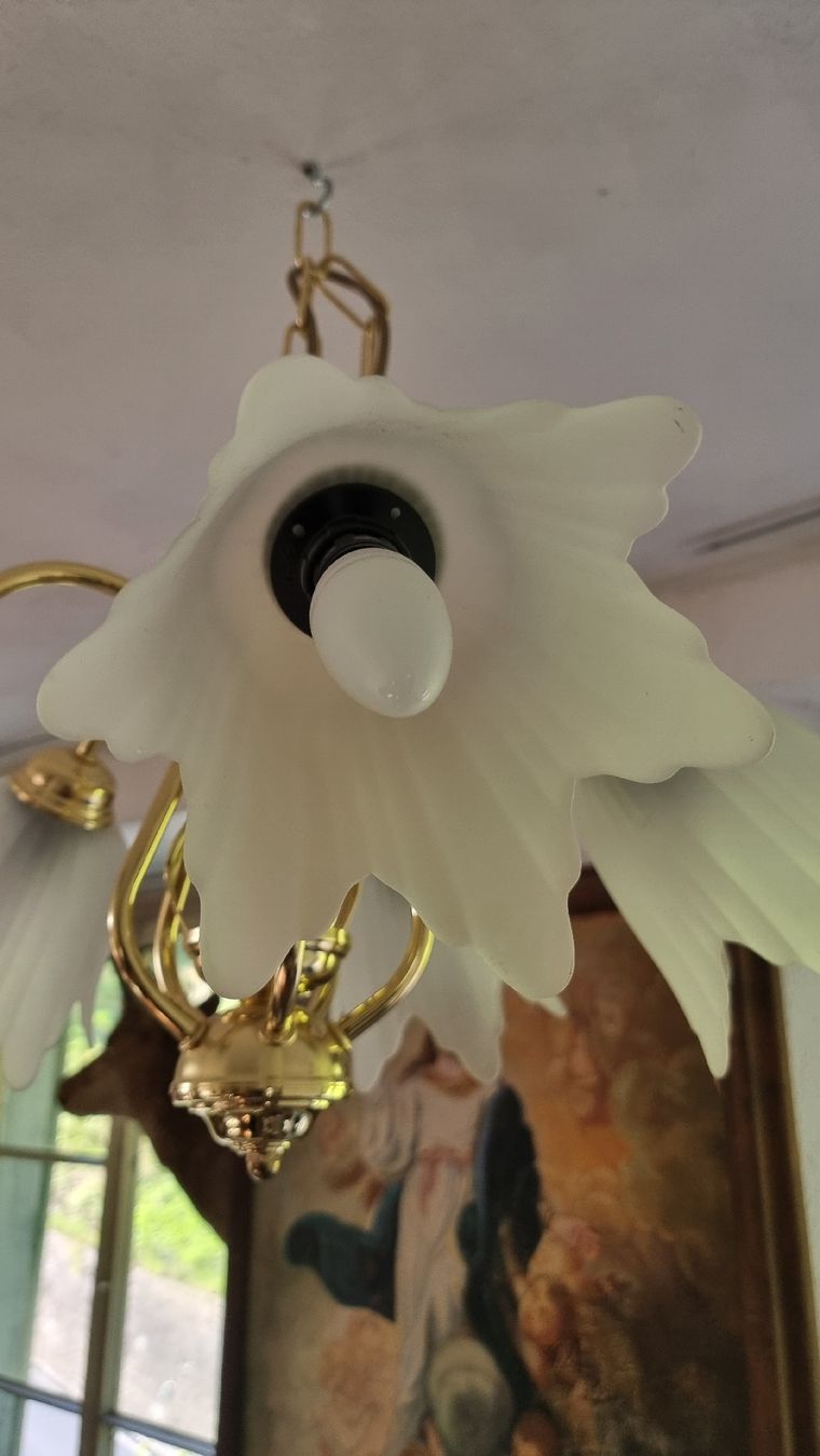 Lampen: 5 Armige Lampe,guter Zustand – Gebraucht aus Sils im Domleschg von platin01 4