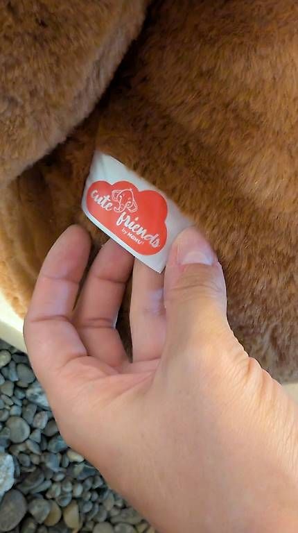 Jouets: Riesen Teddybär unbenutzt – D'occasion à Romanshorn par Heinz_ketchup 2