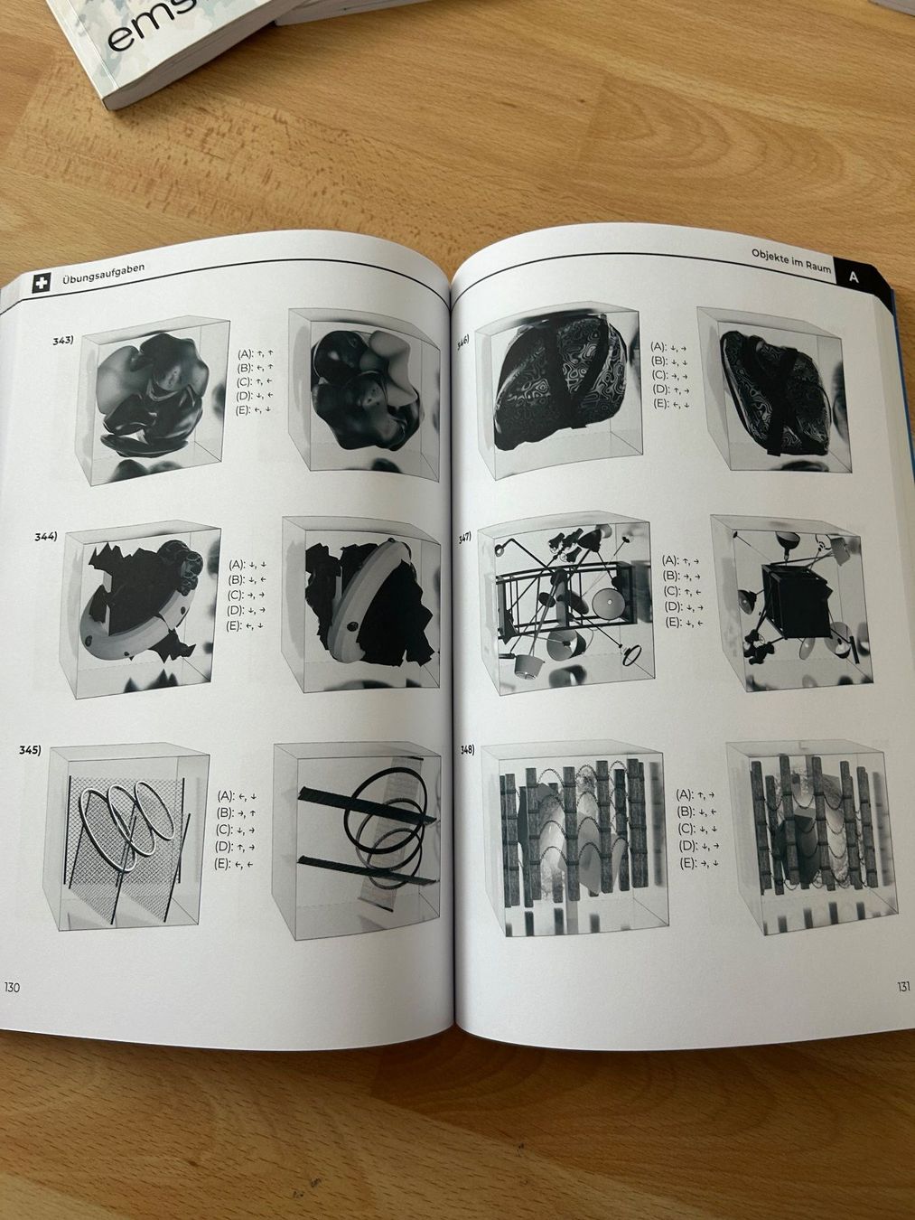 Libri: EMS Coaches Gesamtpaket – Usato da Reichenburg venduto da min123 6