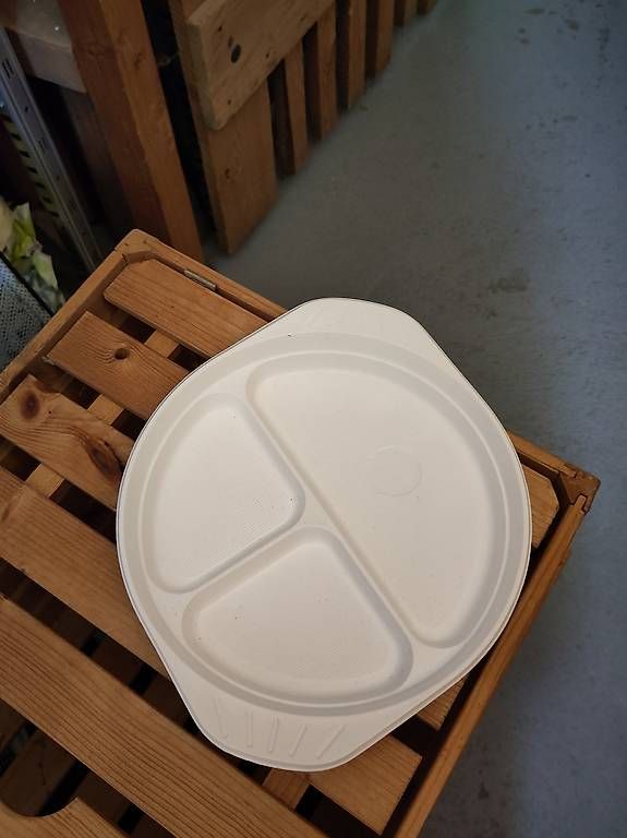 Teller: Plastikteller / Einwegteller – Gebraucht aus Winterthur von Hasso92 1