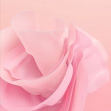 Profile image of jxste_dani