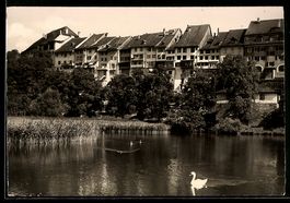 AK Wil /SG, Partie am Stadtweiher