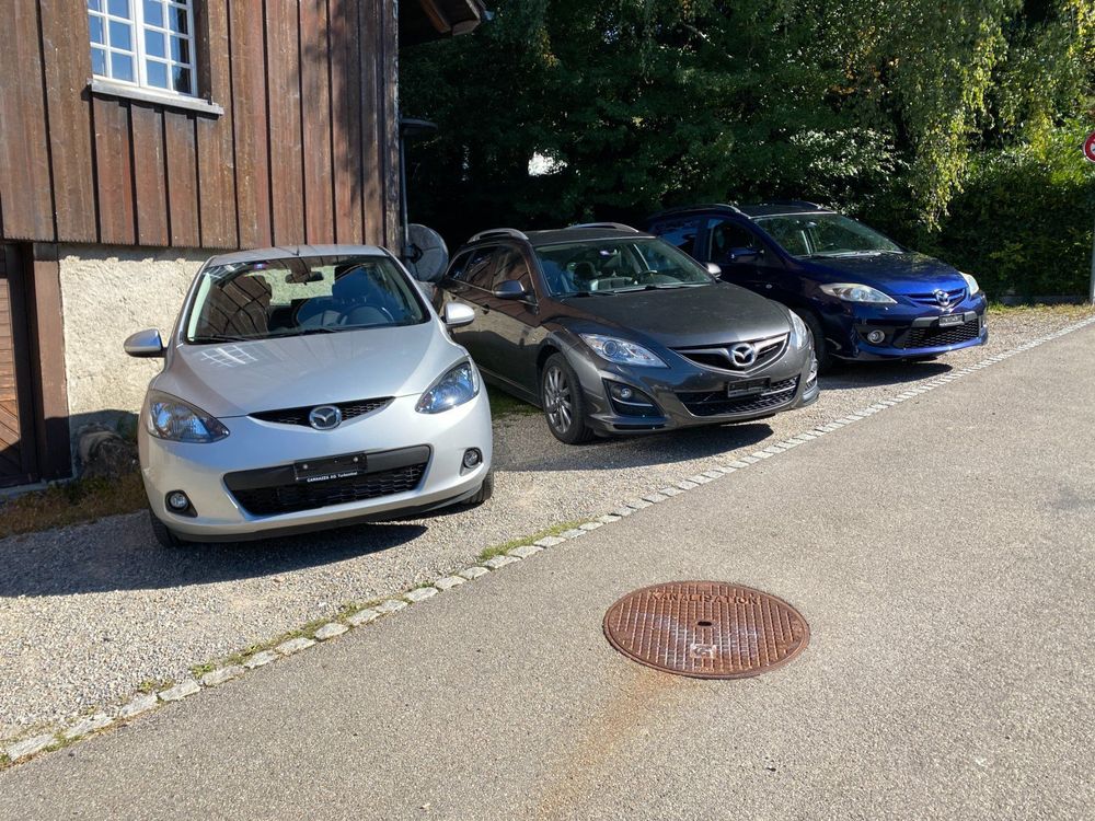 AUTO MIETEN / Monatsmiete / 7 Plätzer / AUTO MIETEN Kaufen auf Ricardo