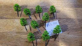 10 très jolis arbres