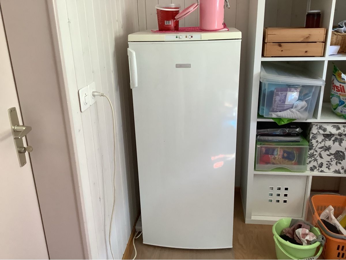 Electrolux Congelatori: Tiefkühler Elektrolux – Usato da Veltheim AG venduto da mollilove