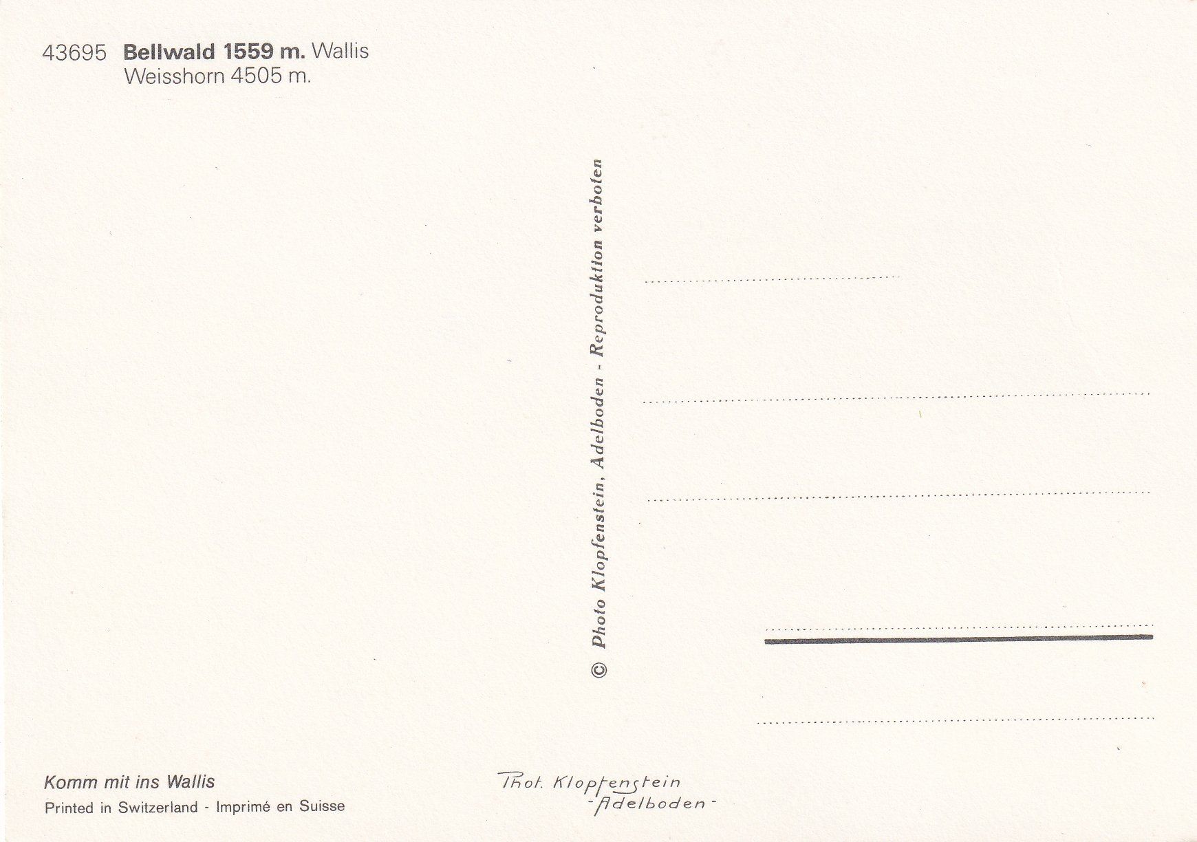 Cartoline postali: Bellwald /ay – Usato da Hombrechtikon venduto da Rudolf07 1