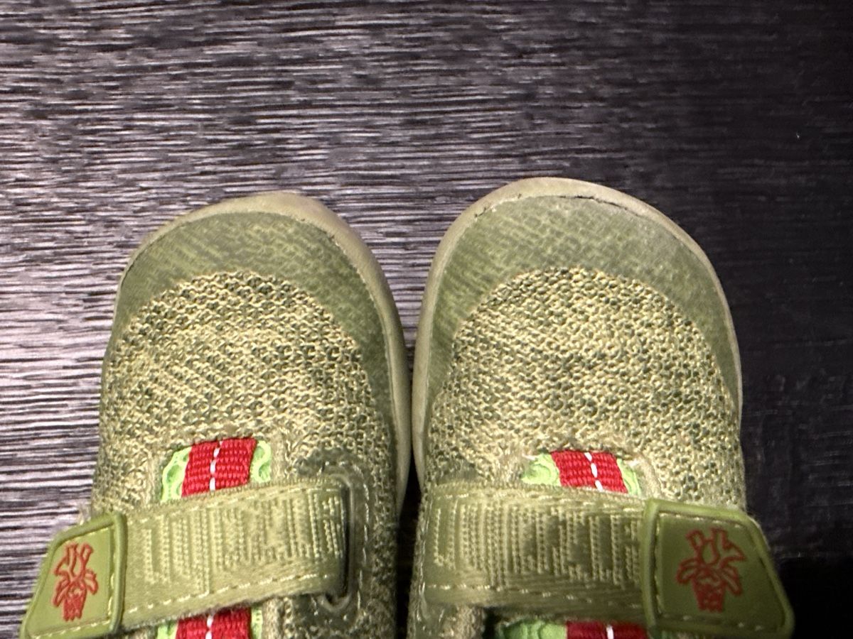 Affenzahn Scarpe per ragazzi: Affenzahn Barfussschuh Gr. 23 – Usato da Lachen SZ venduto da nic_7flt 3