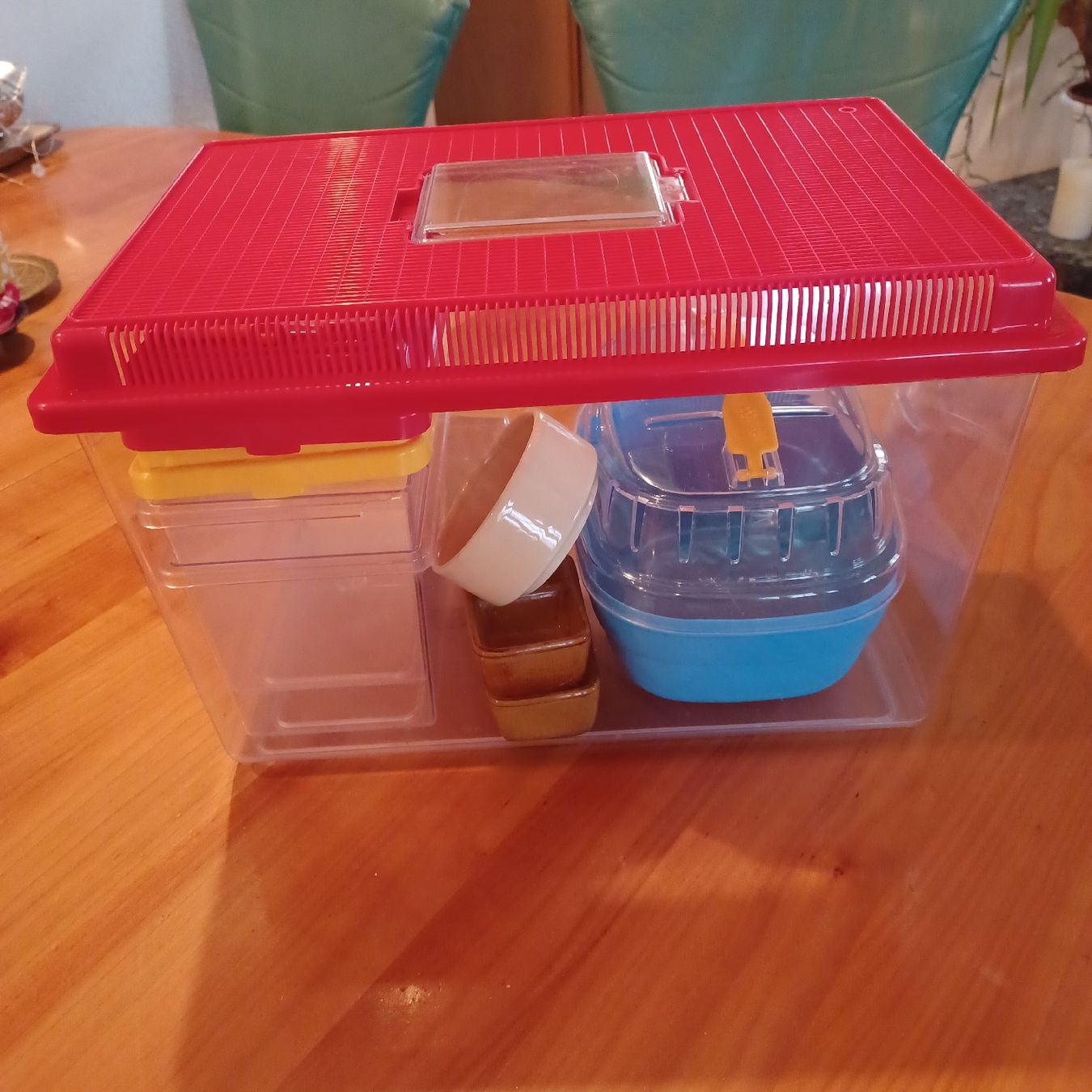 Terrariums: Terrarium , Hamsterkäfig, Transportbox – D'occasion à Waldkirch par Fantasia-101 1