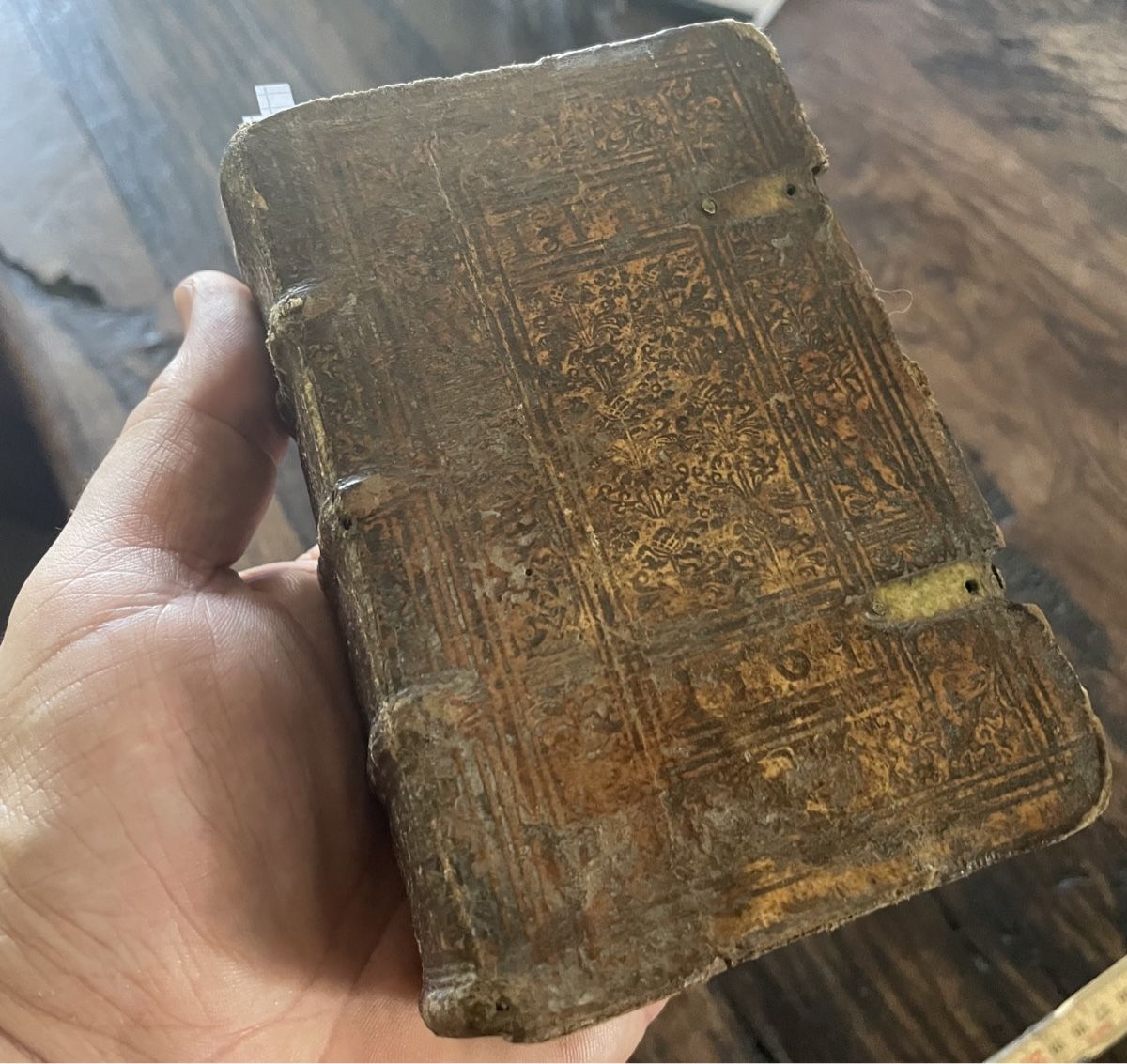Bücher: Buch antik 1561 Medizin – Gebraucht aus Rorschacherberg von farmer61 2