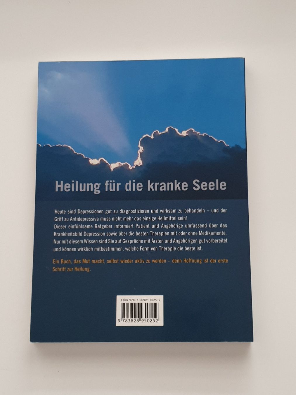 Libri: Depression ist kein Schicksal - Neumann, Dietrich Buch – Nuovo (secondo la descrizione) da Zürich venduto da pau_y8mv 1