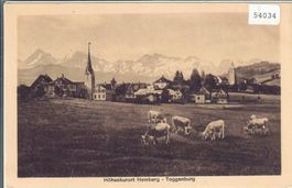Höhenkurort Hemberg - Toggenburg - Kuhherde