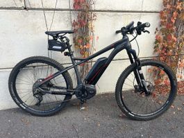 Flyer Ebike Hardtail