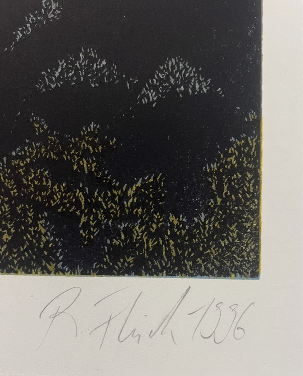 Grafica & Litografie: Roland Flück, handsigniert, nummeriert – Usato da Rain venduto da Pic-Ass 3