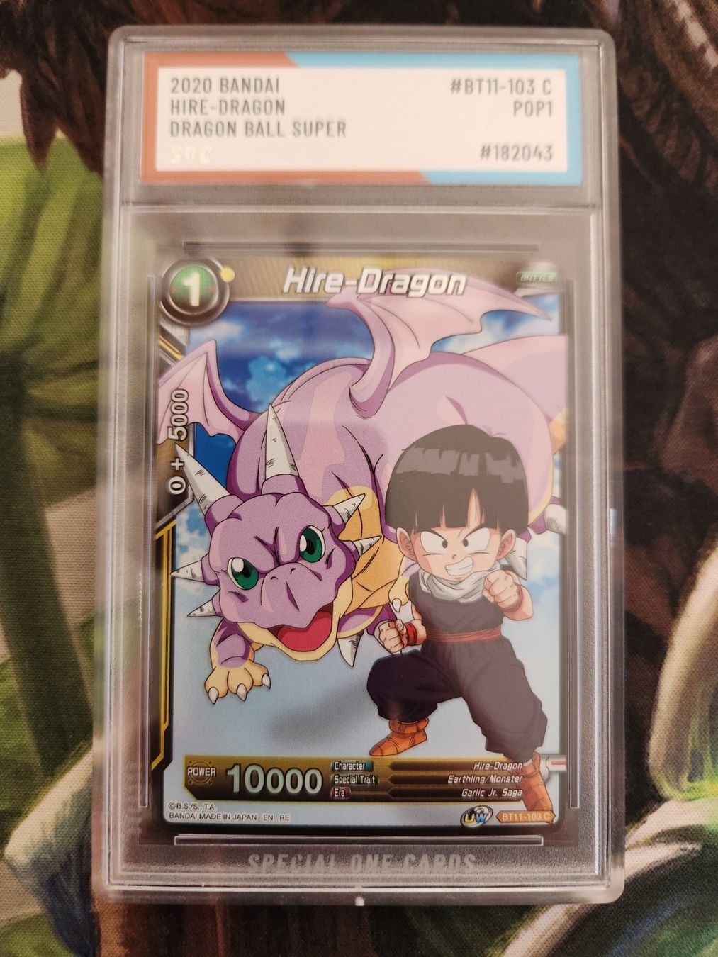 Bandai Carte collezionabili: Dragon Ball Karte – Usato da Bütschwil venduto da Osomo