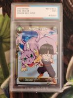 Dragon Ball Karte
