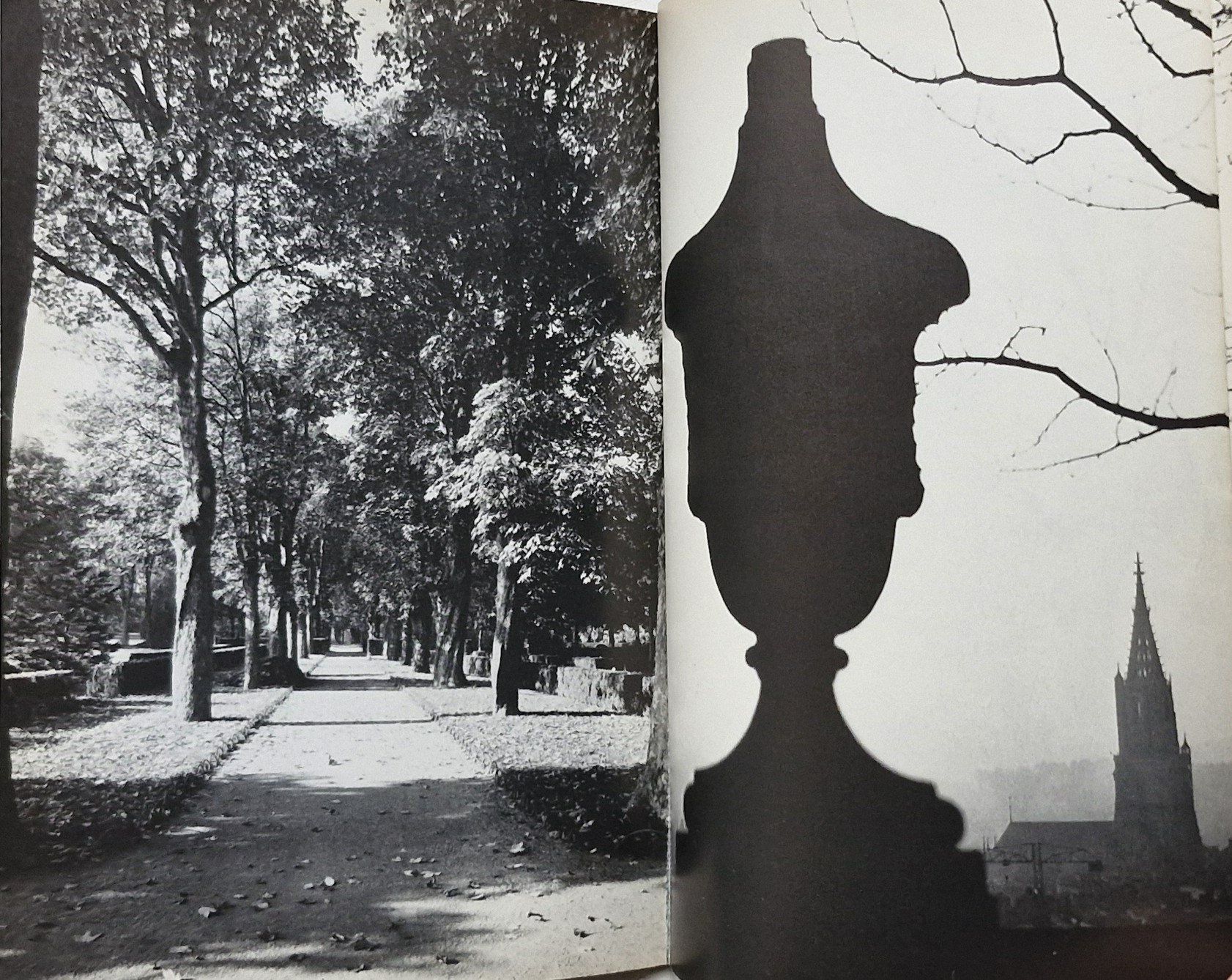 Libri: ROSENGARTEN: der schönste Aussichtspunkt auf Bern – Usato da Bern venduto da Mattthias 5