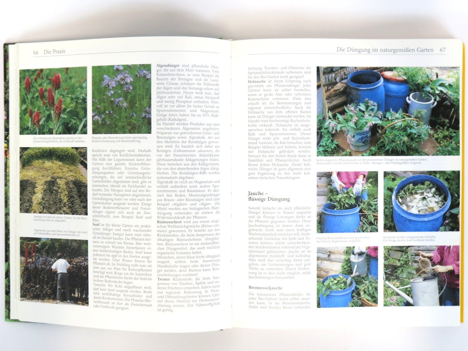 Bücher: BUCH: Der Bio Garten – Gebraucht aus Schaffhausen von Restwert_SH 3