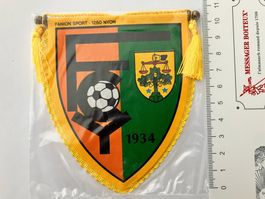 Vintage Fanion/Wimpel   FC YVONAND 1934