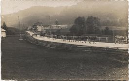Landwirtschaft/Kühe/Alpfahrt 1927 Bühler AR