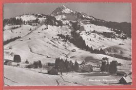 Oberiberg mit Roggenstock - 1950