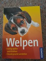 Welpelnbuch