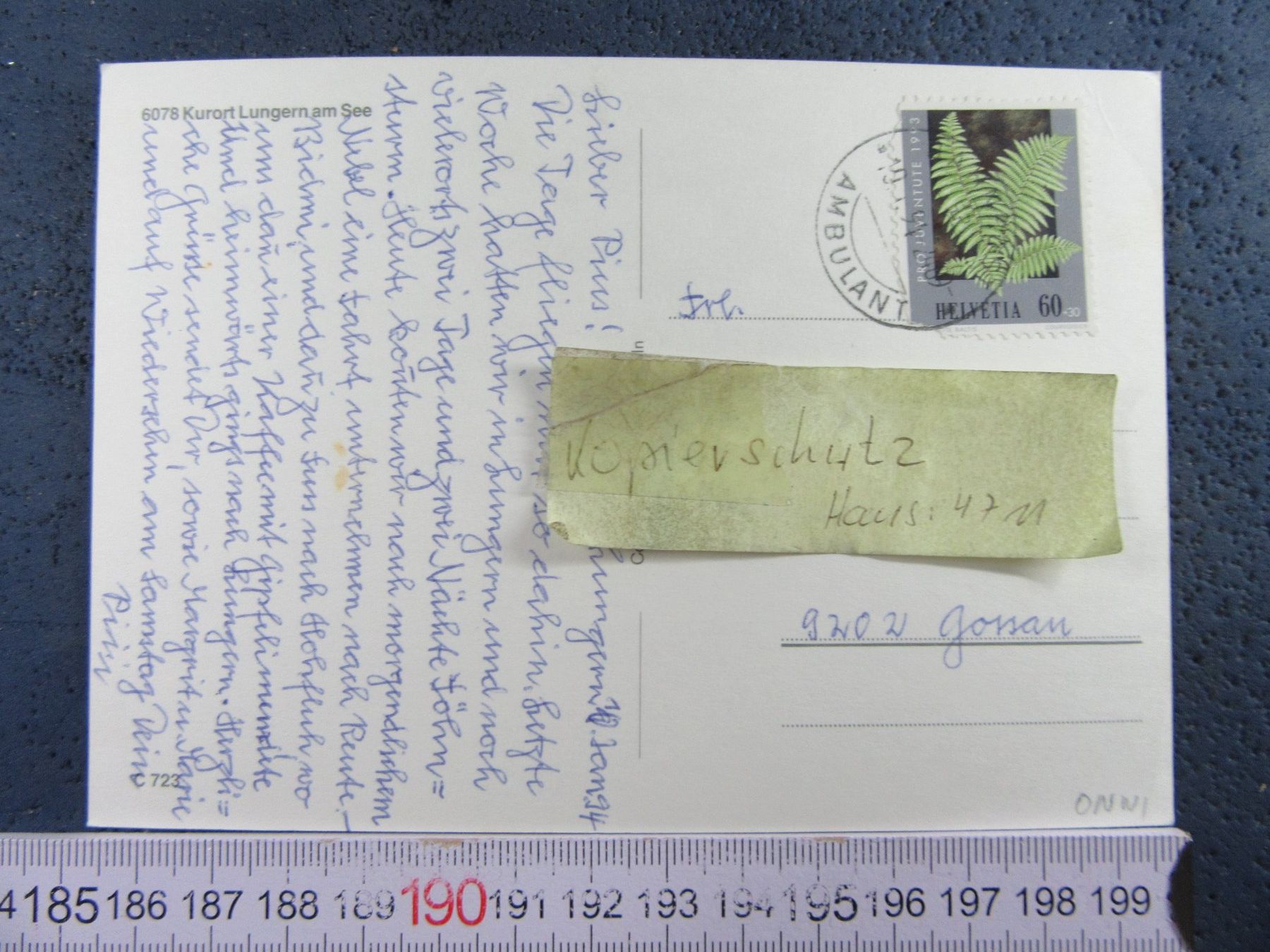 Cartoline postali: LUNGERN AM SEE ONW AK – Usato da Ettingen venduto da Hausi4711 1