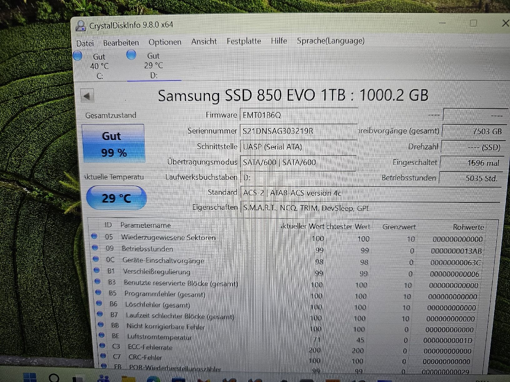 Samsung Dischi rigidi: Festplatten 1Tb 250 Gb  – Usato da Burgdorf venduto da weggu.666 3