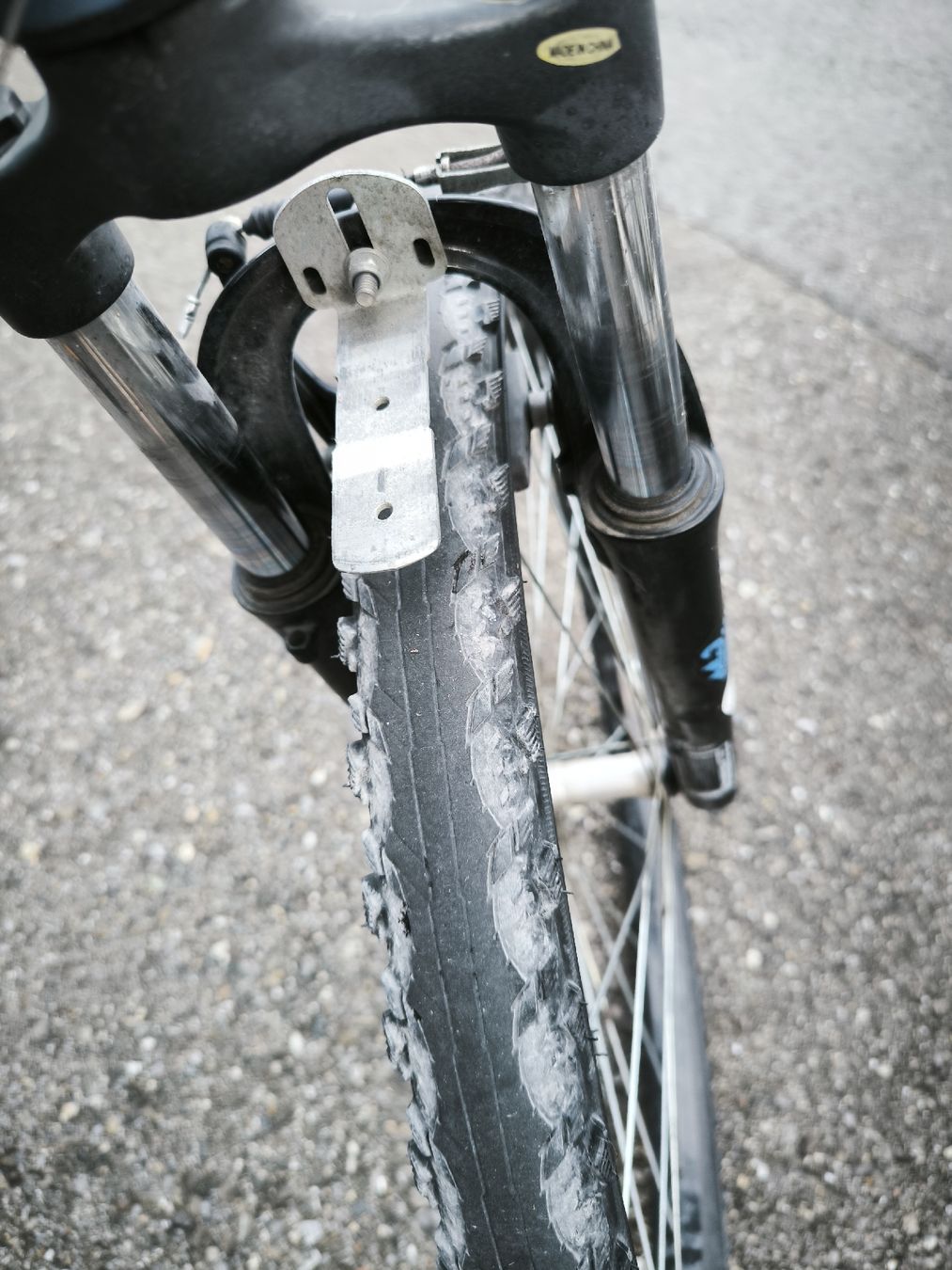 Scott Biciclette: Scott Contessa 26  gebraucht – Usato da Rüthi (Rheintal) venduto da Boschacat 6