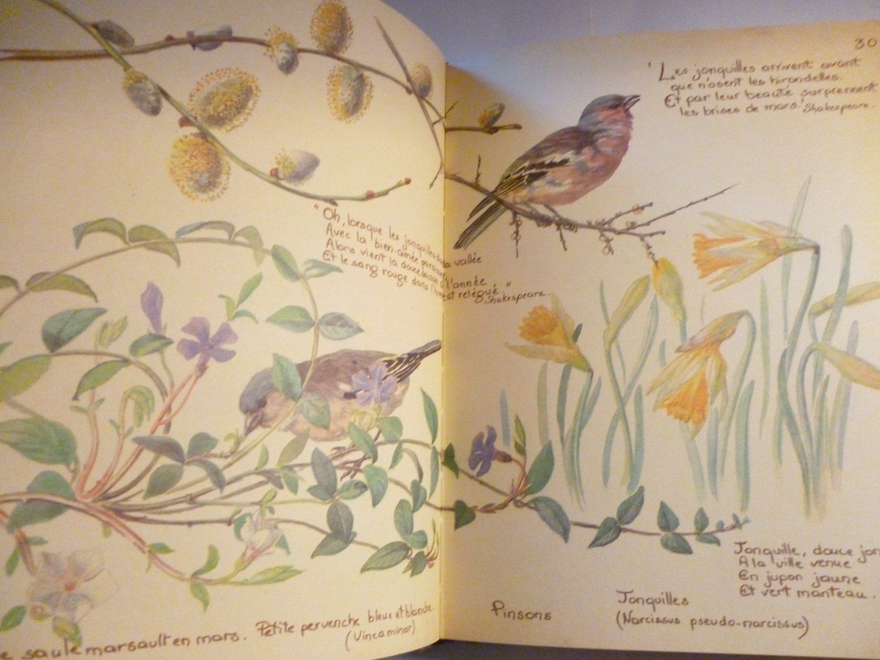 Libri: Journal Champêtre d'Edith Holden – Usato da Montreux venduto da dodeskaden 3