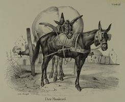 MAULESEL, MAULTIER, LITHOGRAPHIE UM 1840