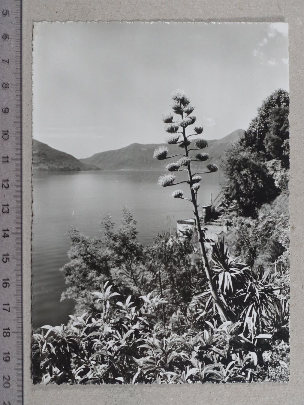 Cartoline postali: Ascona, 1954 – Usato da Lenzburg venduto da fh1