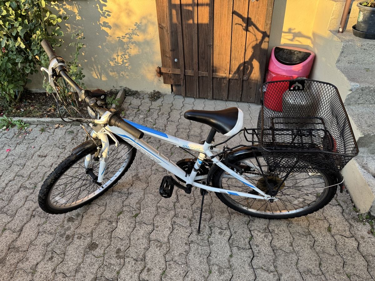 Leopard Velos: Kinder-/Jugendfahrrad Leopard "Space Cat"  – Gebraucht aus Glattfelden von Nusa800 6