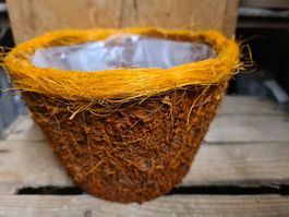 Moos Blumentopf für Dekoration H 12x Ø 18