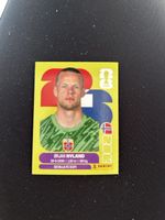 Panini NOR 2