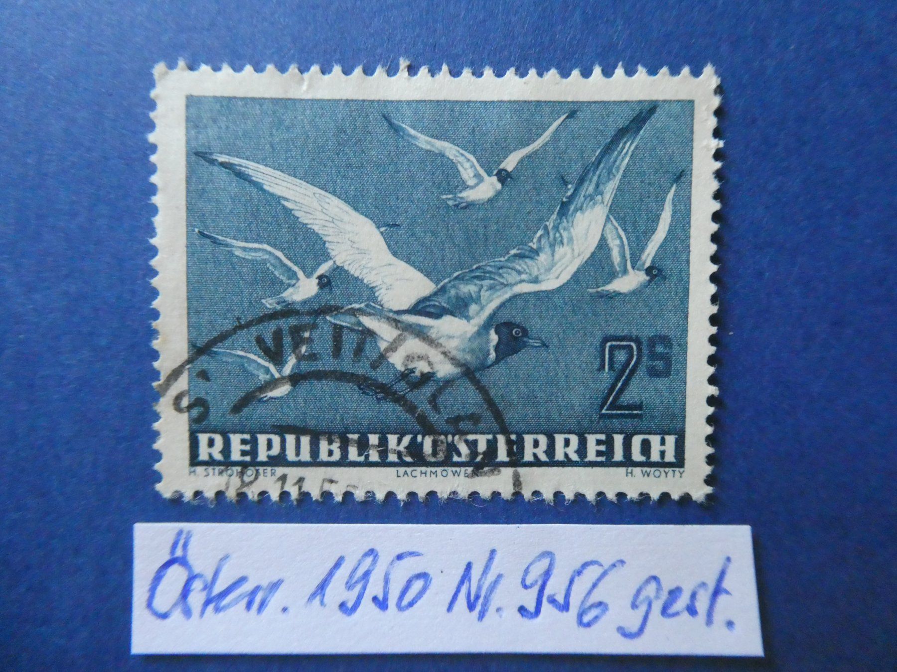 Tutti i francobolli: Österreich 1950 Nr. 956 gestempelt – Usato da Lausen venduto da Herbamare01