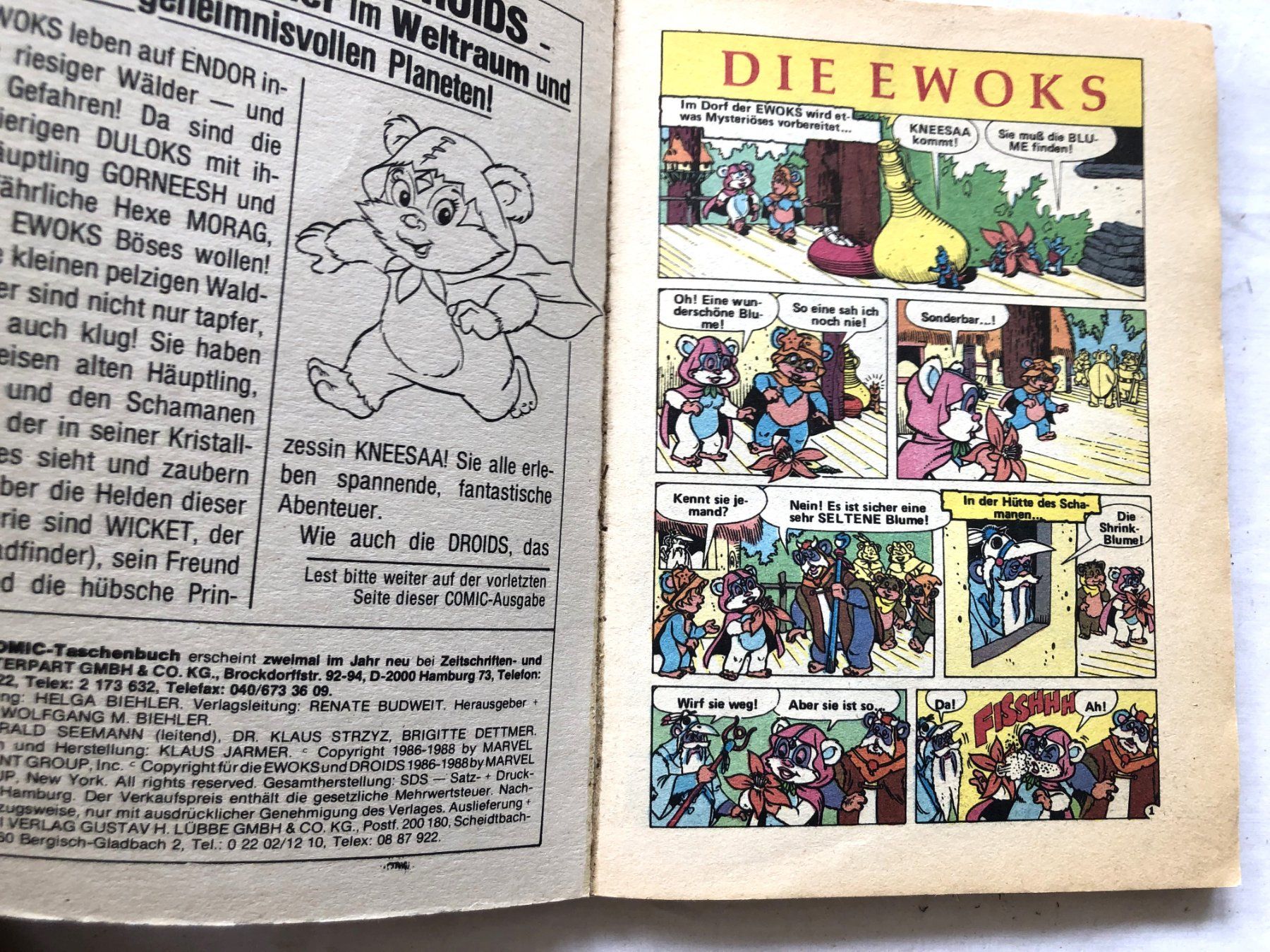 Fumetti: Die Ewoks - Taschenbuch - Nr.1 - Bastei Verlag – Usato da Schaffhausen venduto da durruti 1