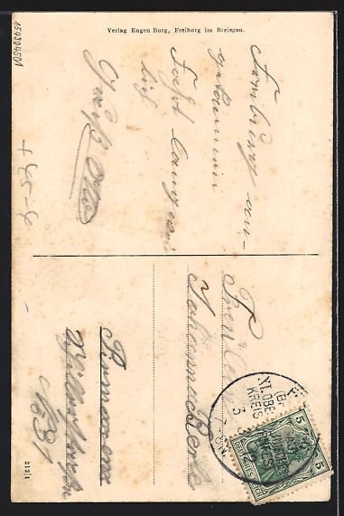 Cartoline postali: Freiburg i. Br., Turnfest, Stadtansicht  – Usato da Berlin venduto da bartko-reher 1