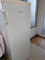 Gefrierschrank Kibernetik