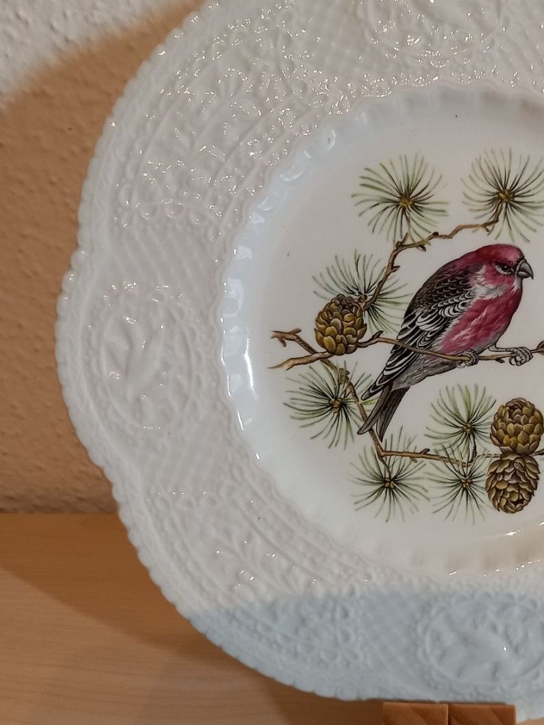 Assiettes: Royal Cauldon Bristol Ironstone - 4 antike Teller – D'occasion à Oberdorf NW par Umbriel 1