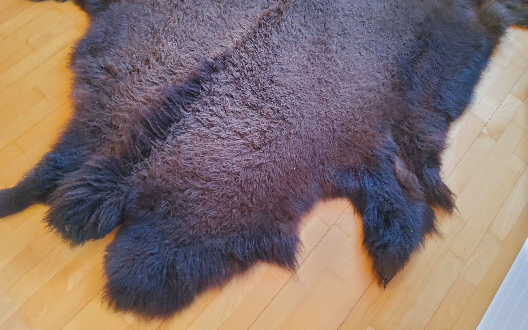 Monde des animaux: BisonFell (Echt) – Neuf (Voir description) à Ruggell par Tim-Werk 5