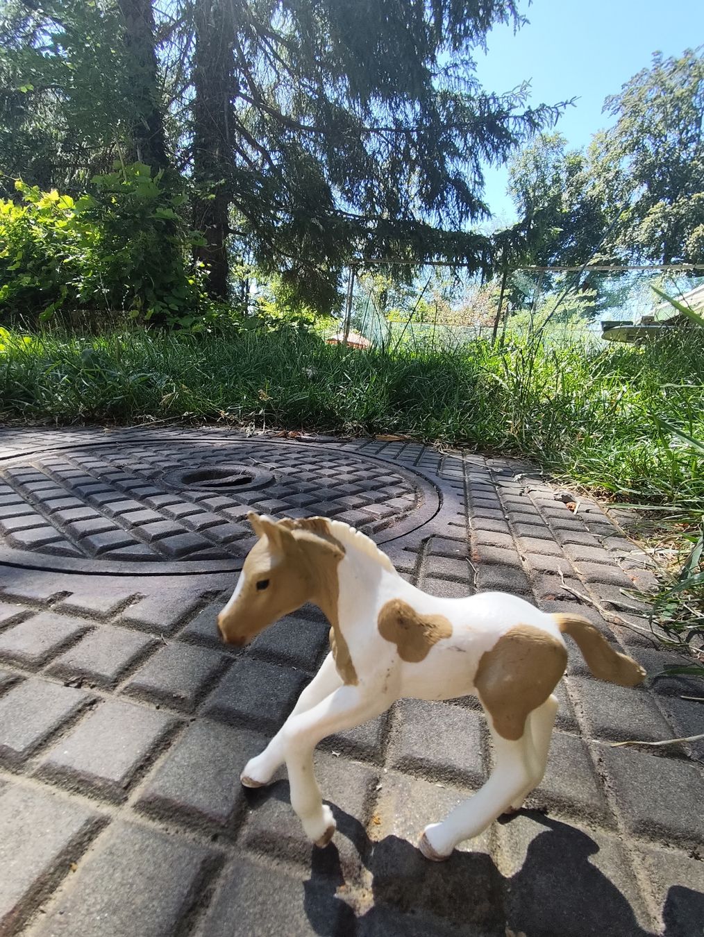 Schleich Giocattoli: 5 Schleich Pferde  – Usato da Wald ZH venduto da Enyafay 4