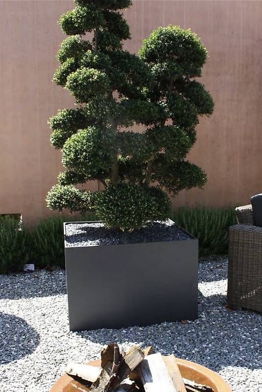 Pots de fleurs: Sika Sarnavert Pflanzengefäss – D'occasion à Zollikofen par ld5_6h8t