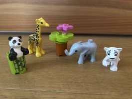 Lego Duplo Tierkinder-Set 10904, komplett - Set 2