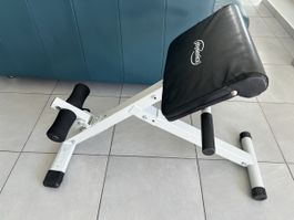 Rueckenstrecker Physionics verstellbar guter Zustand