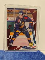 Sportzoo. NLA. Calle Andersson 7/20. HC Davos