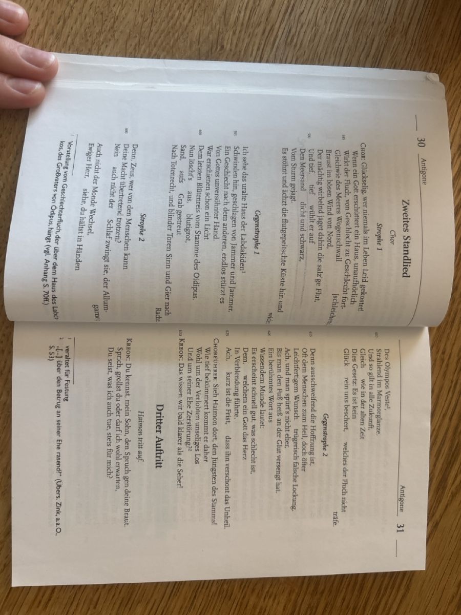 Libri: Antigone (EinFachDeutsch) – Usato da Maienfeld venduto da eli_27lm 1
