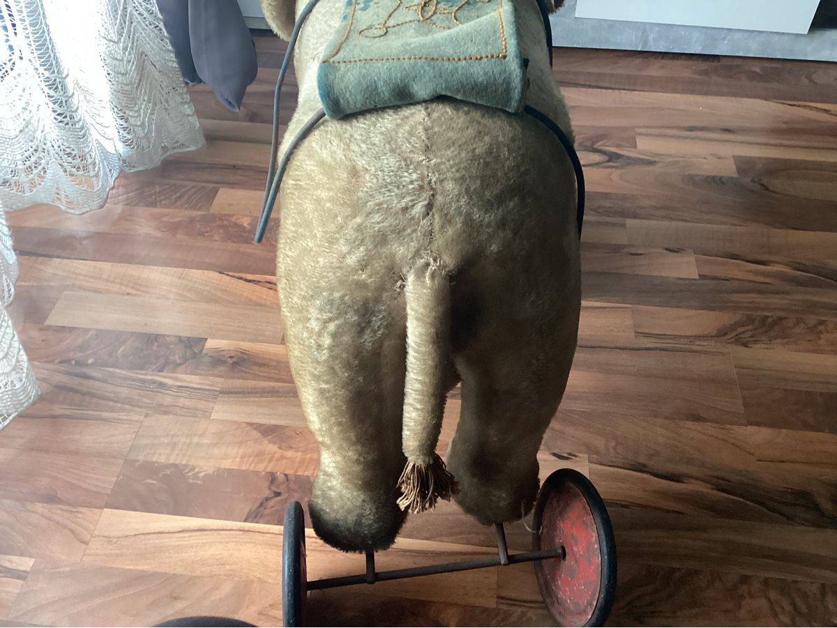 Steiff Giocattoli: ALTER STEIFF ELEFANT AUF RÄDER UM 1920/30 – Usato da Münchenstein venduto da NoSu98 5