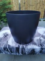 Lechuza Pflanzgefäss CLASSICO Color ECO 60 schwarz