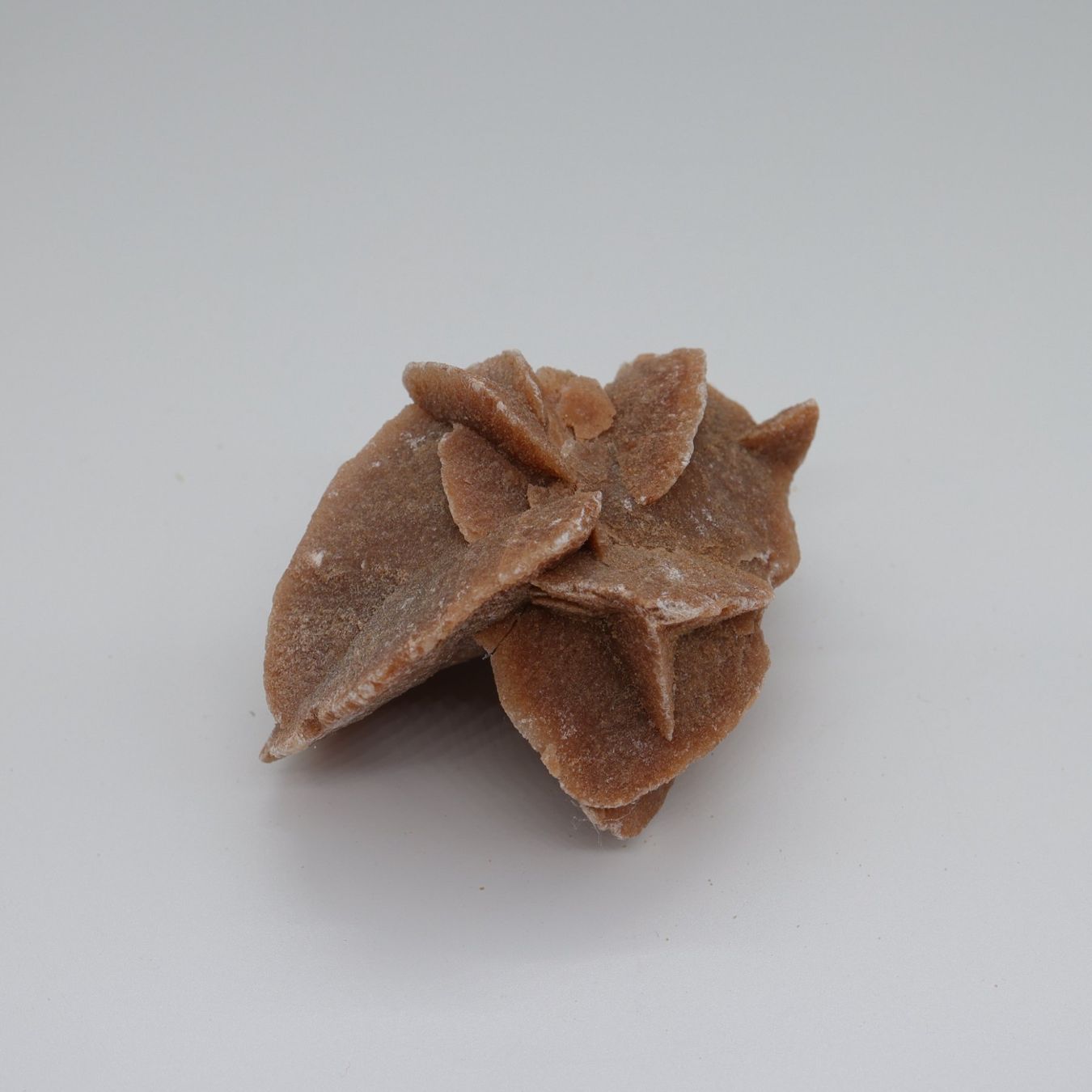 Minerali & Pietre curative: Wüstenrose - Steine – Usato da Volketswil venduto da brockipfannenstil 6
